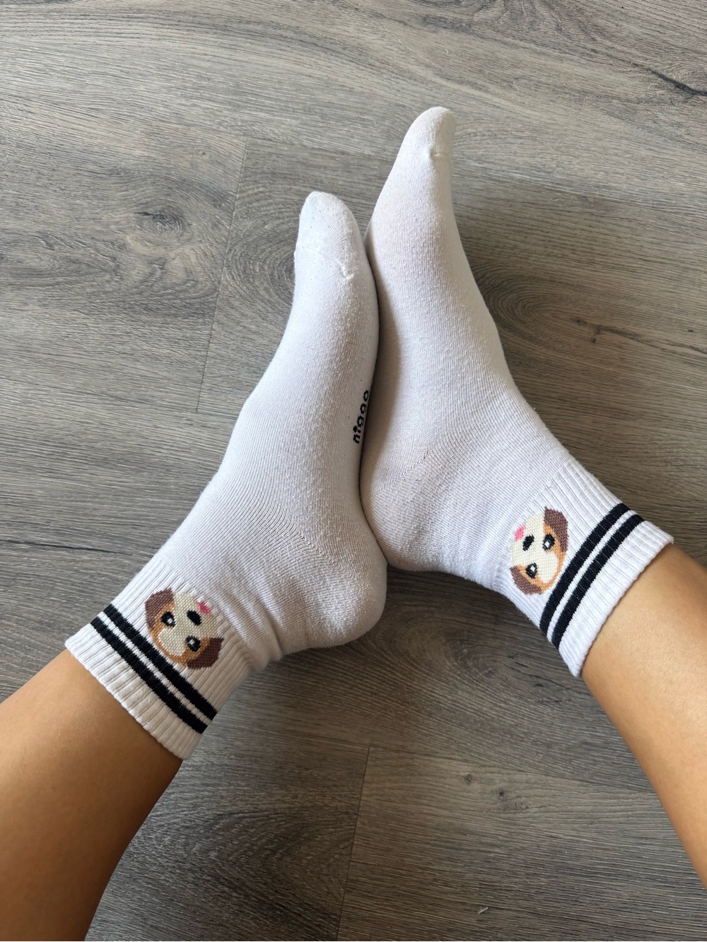 Dog Print Mini Crew Socks